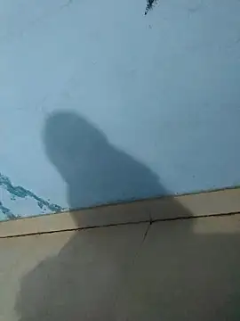 tanishkabby online show from October 4, 2025, 5:44 pm