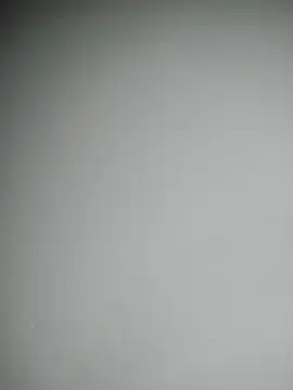 delaylacruz online show from October 17, 2025, 11:24 am