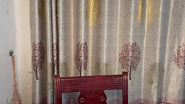 w5206t online show from November 13, 2025, 12:37 pm