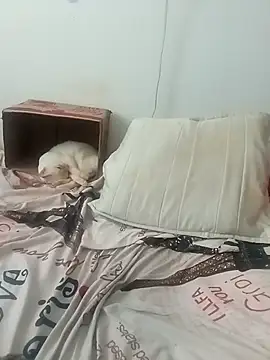 tany90 online show from November 19, 2025, 8:20 pm