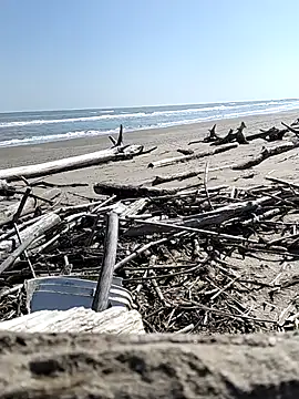 Snapshot of pegaso369 chatting on March 28, 2026, 11:10 am pegaso369 online show from March 28, 2026, 11:10 am