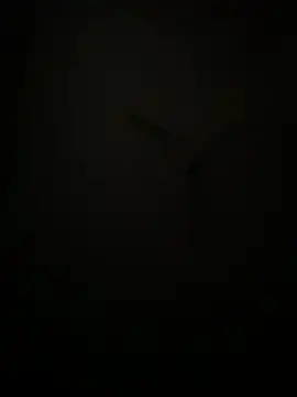 Snapshot of succy33 chatting on October 7, 2025, 4:59 pm succy33 online show from October 7, 2025, 4:59 pm