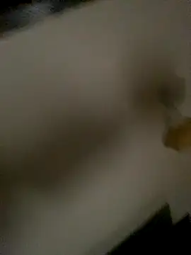 Snapshot of succy33 chatting on October 15, 2025, 7:41 am succy33 online show from October 15, 2025, 7:41 am