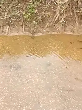 CoMay003 online show from March 12, 2026, 5:35 am