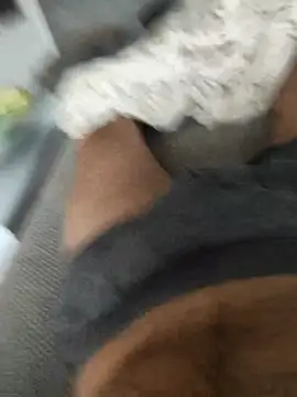 hansvonerotic1 online show from December 2, 2025, 11:59 am