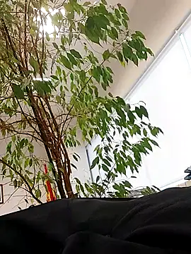 Snapshot of Emily_de_Carla chatting on September 24, 2025, 3:26 pm Emily de Carla online show from September 24, 2025, 3:26 pm