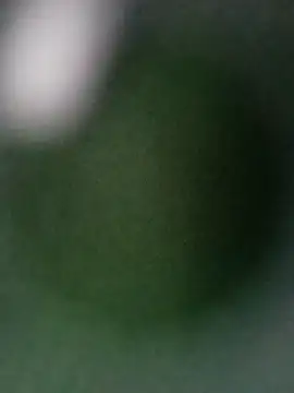 Punam ji online show from October 28, 2025, 7:12 am