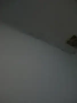 Kriffert online show from November 1, 2025, 11:51 pm