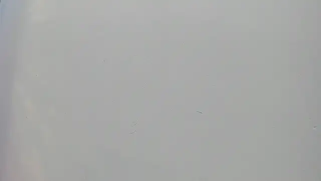 Saammy 17 online show from September 25, 2025, 8:23 pm