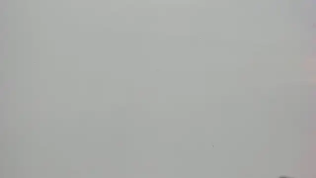 Saammy 17 online show from October 7, 2025, 8:06 pm