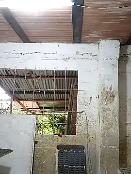 hoteder online show from October 24, 2025, 12:01 pm