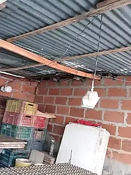 hoteder online show from December 4, 2025, 12:47 pm