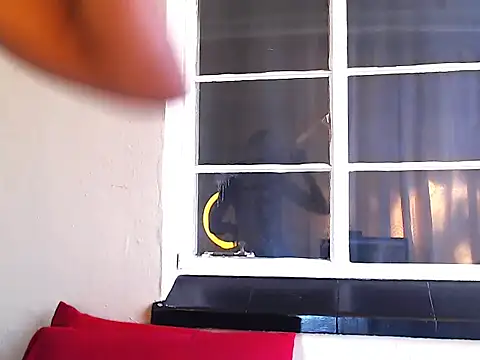 PetiteEbonyBabe online show from October 9, 2025, 7:28 am