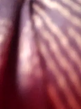 Tamilreethu online show from October 5, 2025, 8:45 am