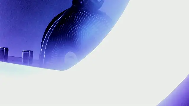 Snapshot of bell_popperr_ chatting on October 3, 2025, 11:29 am bell popperr online show from October 3, 2025, 11:29 am