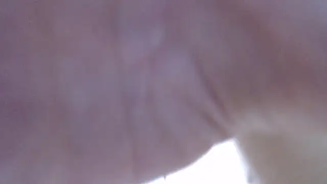 LillyDream2 online show from February 16, 2026, 10:22 am