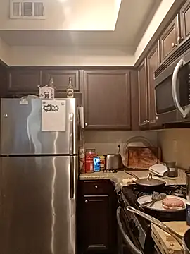 Snapshot of PremiumKitty chatting on February 20, 2026, 10:27 am PremiumKitty online show from February 20, 2026, 10:27 am