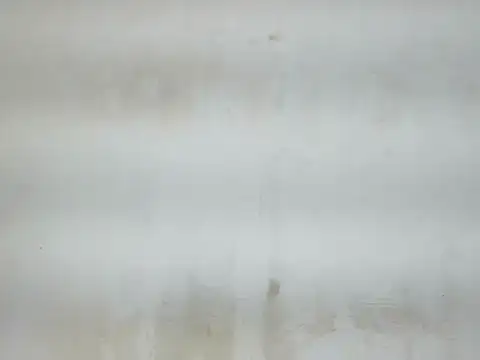 Cute mikii online show from December 5, 2025, 4:54 am