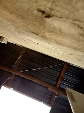 KruellaR1de3 online show from January 8, 2026, 9:28 pm