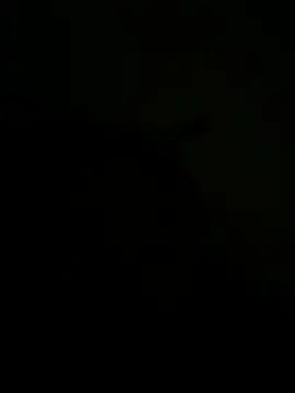 FirstTimeEvr online show from July 7, 2026, 7:34 am