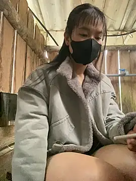 Snapshot of PhanHaa chatting on January 15, 2026, 12:48 am PhanHaa online show from January 15, 2026, 12:48 am