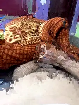 Snapshot of Rupkumarmaleforfun chatting on December 18, 2025, 2:34 pm Rupkumarmaleforfun online show from December 18, 2025, 2:34 pm