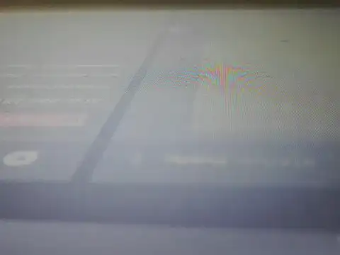 B-e-l-l-e online show from February 16, 2026, 1:51 pm