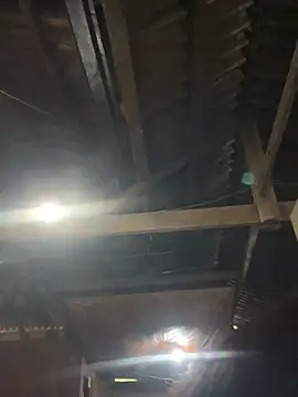 EmLy02 online show from April 16, 2026, 11:00 am