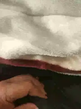 Snapshot of mM0140 chatting on January 13, 2026, 8:30 am mM0140 online show from January 13, 2026, 8:30 am