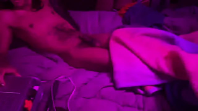 caliboi4 online show from November 26, 2025, 2:29 pm