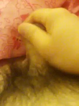 Hl1979 online show from February 27, 2026, 9:04 pm