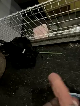 rinne0110 online show from September 13, 2025, 4:18 pm