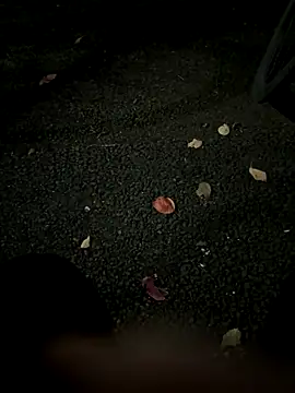 rinne0110 online show from November 5, 2025, 1:11 pm