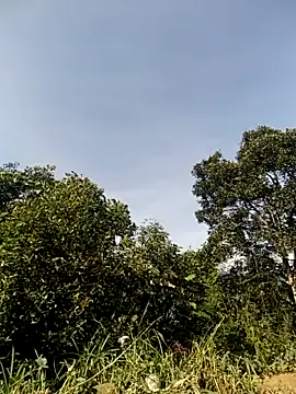 vivi cute online show from October 30, 2025, 1:51 am