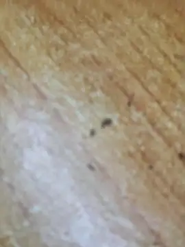 Snapshot of Markroco696 chatting on October 6, 2025, 3:09 pm Markroco696 online show from October 6, 2025, 3:09 pm