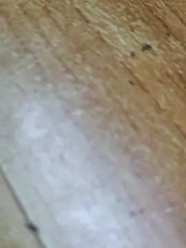 Snapshot of Markroco696 chatting on October 12, 2025, 2:32 am Markroco696 online show from October 12, 2025, 2:32 am