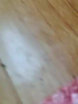 Snapshot of Markroco696 chatting on October 18, 2025, 2:58 am Markroco696 online show from October 18, 2025, 2:58 am