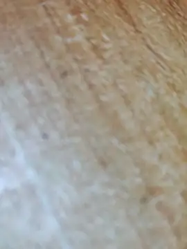 Snapshot of Markroco696 chatting on November 17, 2025, 5:02 am Markroco696 online show from November 17, 2025, 5:02 am