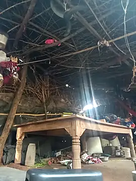 cute diya 12 online show from November 11, 2025, 3:28 am