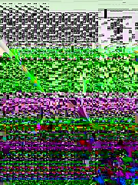 vergeta19 online show from November 8, 2025, 4:12 am