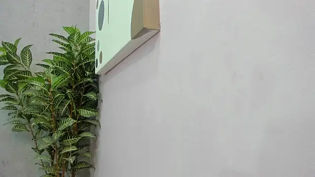 scarlett646 online show from December 2, 2025, 3:12 am