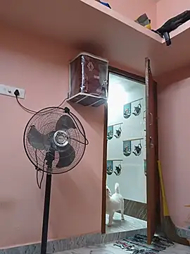 bakyasree143 online show from May 23, 2026, 8:46 pm