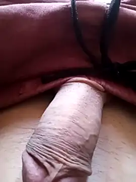 bemmagrinho36 online show from February 6, 2026, 4:21 pm