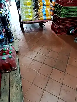 VERONICA  03 online show from September 20, 2025, 2:18 pm