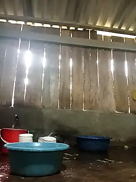 Ngocmi909 online show from November 17, 2025, 1:22 am