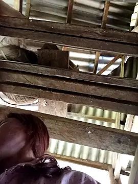 Ngocmi909 online show from April 21, 2026, 2:37 am