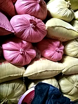 Sa2mh20 online show from December 17, 2025, 2:39 am