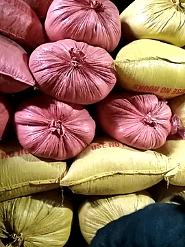 Snapshot of Sa2mh20 chatting on February 11, 2026, 6:51 am Sa2mh20 online show from February 11, 2026, 6:51 am