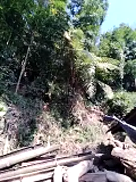 miss-su online show from February 5, 2026, 7:46 am