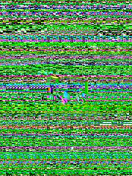 nguyen4848 online show from November 20, 2025, 3:18 am